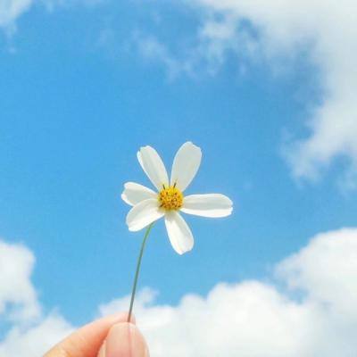 翻滚盒子内购破解版下载