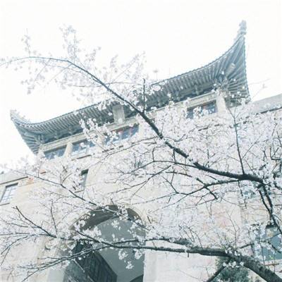叫我三国迷百度版下载